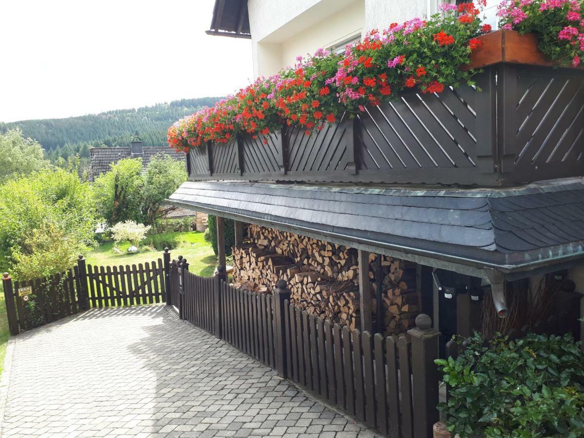 Ferienwohnungen Luge - Winterberg Ngoại thất bức ảnh