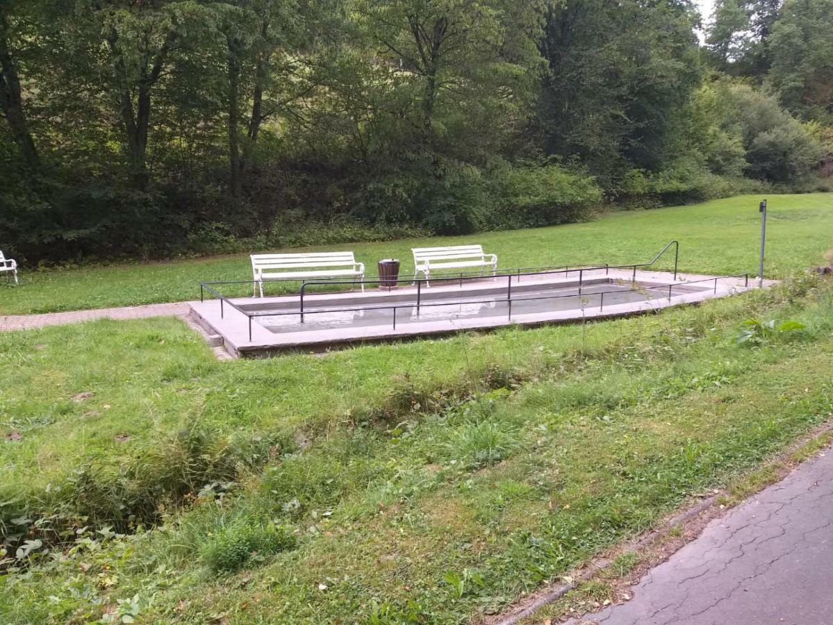 Ferienwohnungen Luge - Winterberg Ngoại thất bức ảnh