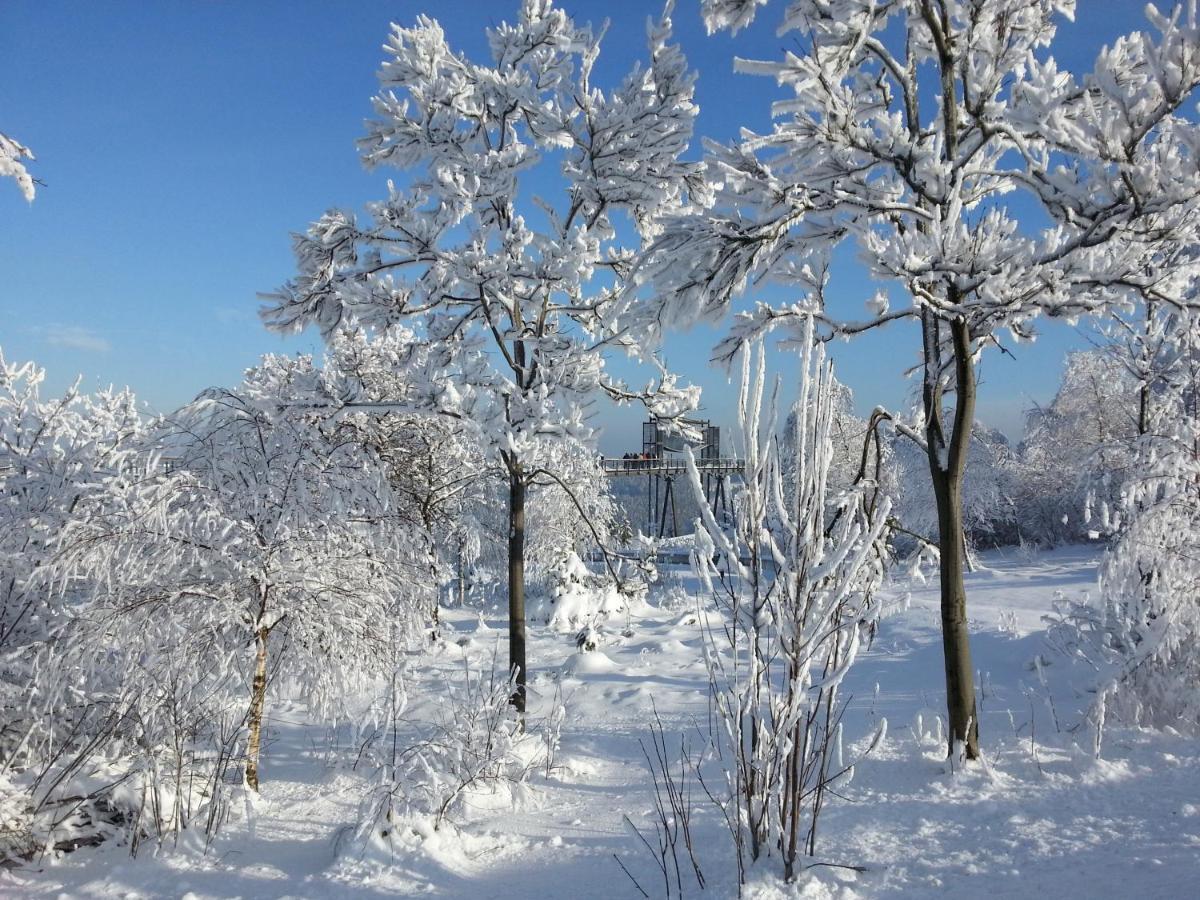 Ferienwohnungen Luge - Winterberg Phòng bức ảnh